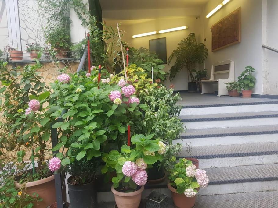 Pazari_Ri_Studio Apartment Tirana Exterior photo