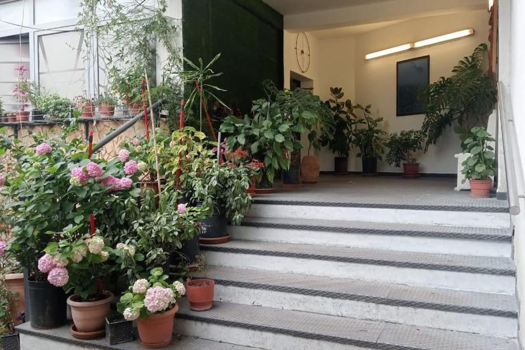 Pazari_Ri_Studio Apartment Tirana Exterior photo